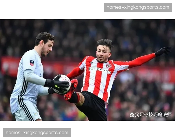 布伦特福德新援达姆斯高新增伤情 蜜蜂军团至多7人同时缺席